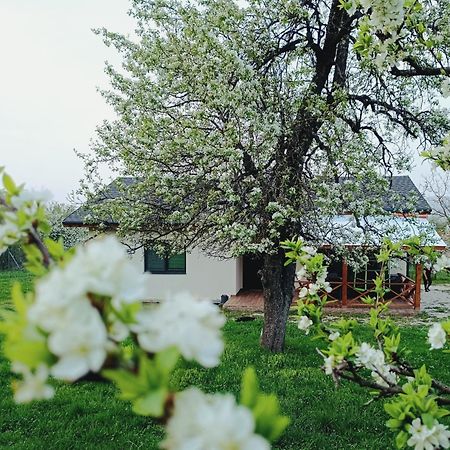 Къща За Гости Софаш Stoevtsi Dış mekan fotoğraf